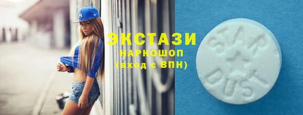 ECSTASY Болотное