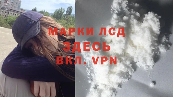 ECSTASY Болотное